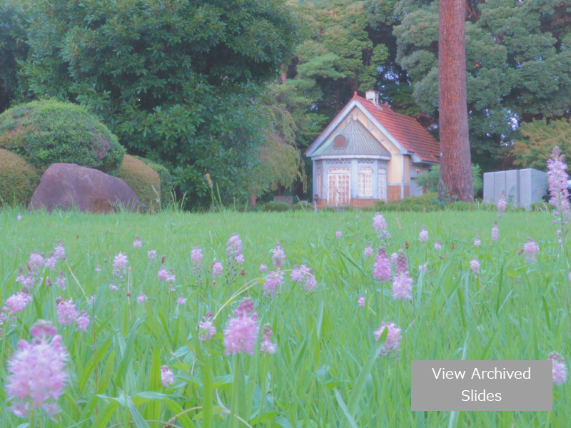一橋大学経営管理研究科ファイナンス研究センター