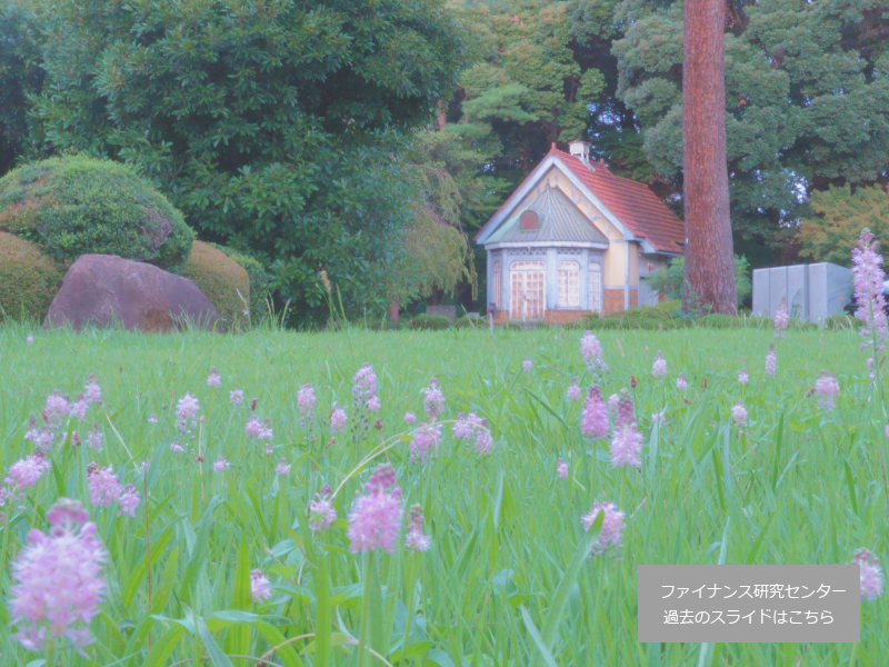 一橋大学経営管理研究科ファイナンス研究センター